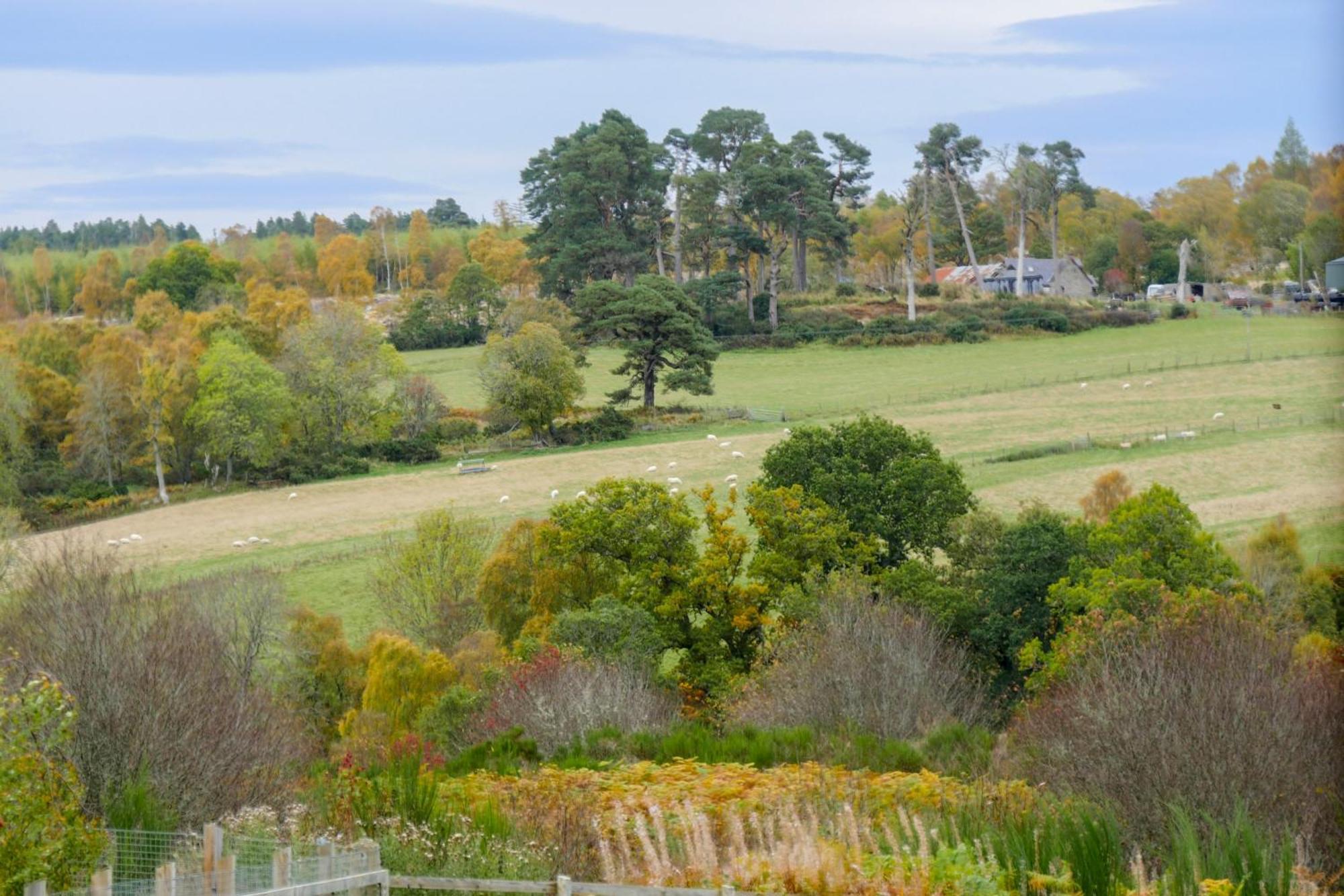 Glenview Chalet Park Inverness Ngoại thất bức ảnh